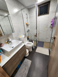 Treasure Crest (D19), Condominium #572777651